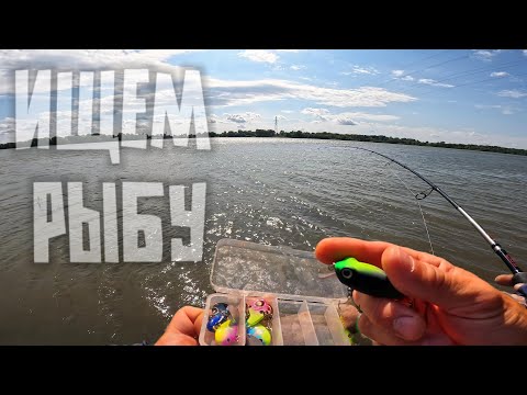 Видео: Береговой спиннинг.Обь. В черте города Новосибирск.
