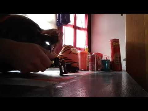 Видео: Камера микрофон и доза любов.   👍💞👻