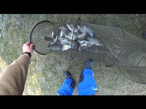 Видео: РИБАЛКА БУРШТИН КАНАЛ#1