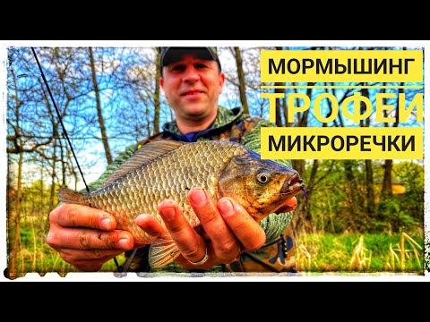 Видео: МОРМЫШИНГ трофеи микроречки