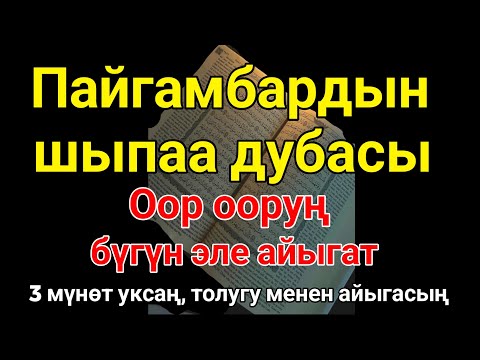 Видео: Пайгамбардын дубасы — 3 мүнөттө айыгасың! Угуп коюу эле жетиштүү