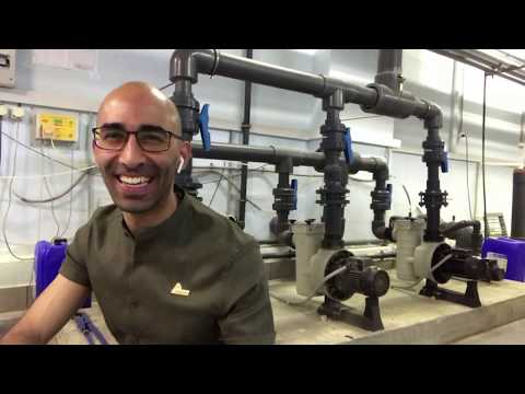 Видео: Техническое обслуживание бассейна