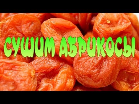 Видео: СУШИМ АБРИКОСЫ  без лишних слов