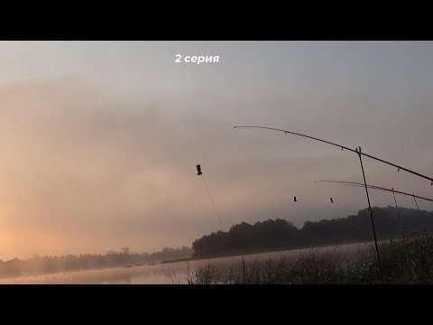 Видео: КАША на ЛЕЩА КОТОРАЯ не киснет в ЖАРУ! Рыбалка на Оке на ДОНКИ 2022.