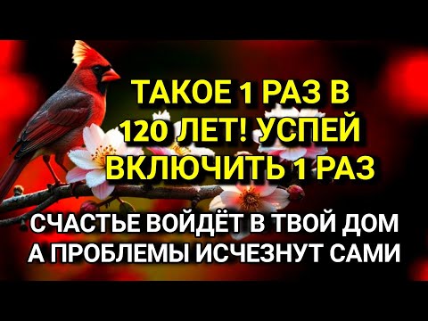 Видео: УСПЕЙ ВКЛЮЧИТЬ 1раз! СЧАСТЬЕ ВОЙДЁТ В ДОМ, А ПРОБЛЕМЫ ИСЧЕЗНУТ САМИ! Это Чудо ✨🤲🔑💯