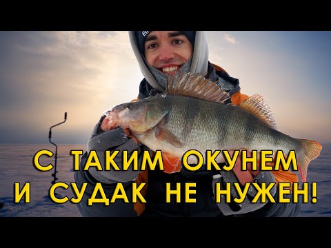 Видео: Это мечта рыбака! Зимняя рыбалка в Камском Устье.