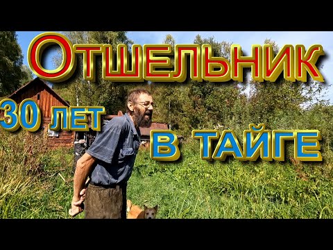 Видео: Отшельник 30 лет в тайге Алтая