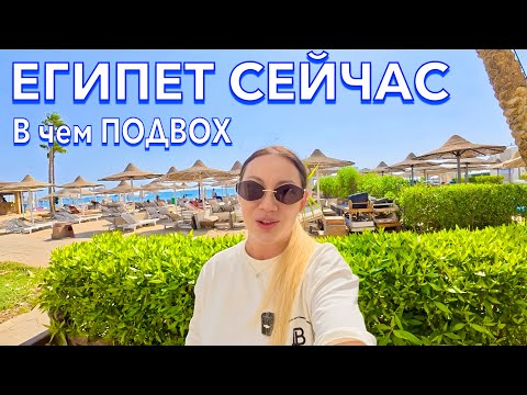 Видео: Египет 2025. КУДА я ПОПАЛА❗️ ОЧЕНЬ БЮДЖЕТНЫЙ отдых, ЦЕНЫ в ЕГИПТЕ. Первая линия. Хургада