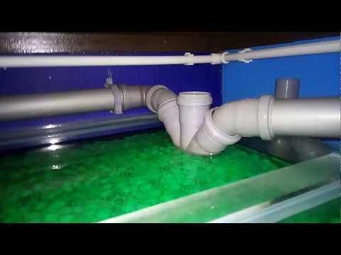 Видео: узв для разведения австралийских красноклешневых раков