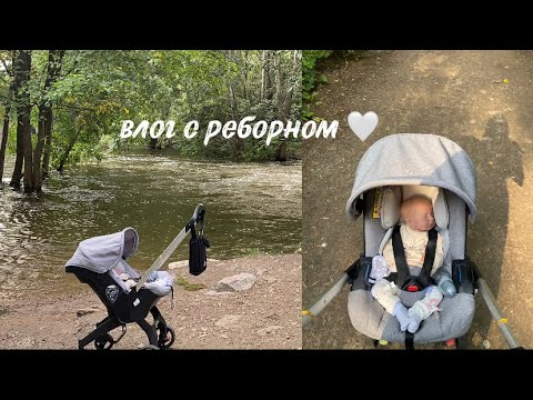 Видео: влог с реборном/ прогулка в парке