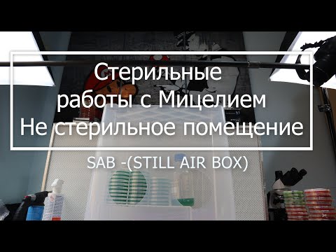 Видео: SAB -  Как разлить агар - без контаминаций - грибоводство