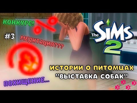 Видео: THE SIMS 2 ИСТОРИИ О ПИТОМЦАХ | ПЕРВОЕ ВЫСТУПЛЕНИЕ, МЕДИТАЦИЯ, ПОХИЩЕНИЕ... | СЕРИЯ 3