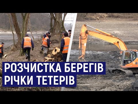 Видео: У Житомирі розчищають береги річки Тетерів