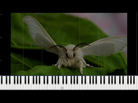 Видео: [MIDI] Flëur - Шелкопряд (минус) / караоке в субтитрах (CC)