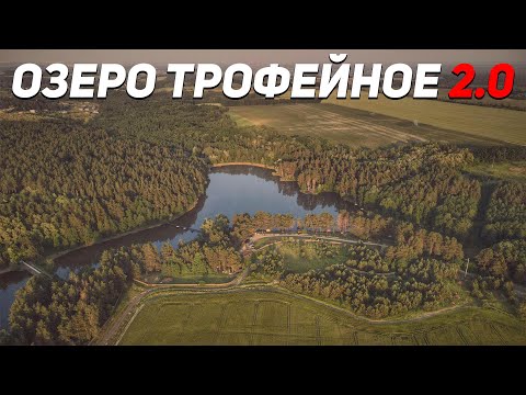 Видео: Обзор Трофейное 2.0 | Карпфишинг в лесу