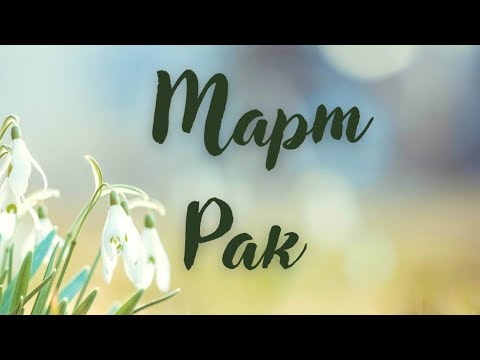 Видео: Рак ♋ Месец март 2024 г. 🌷 Таро прогноза 🌟