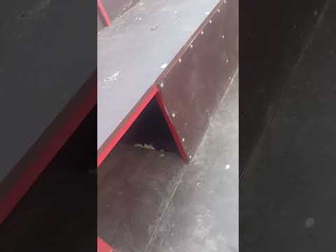 Видео: 8 августа 2024 г.