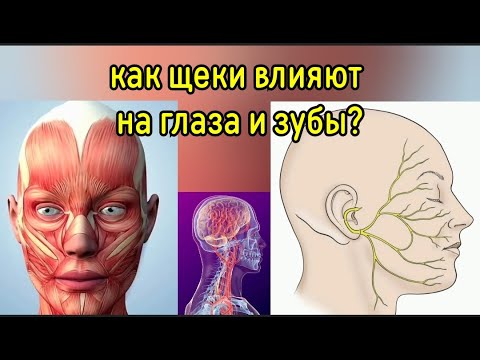 Видео: Щеки давят на тройничный нерв, ухудшают здоровье глаз и зубов, портят зрение. Методы декомпрессии