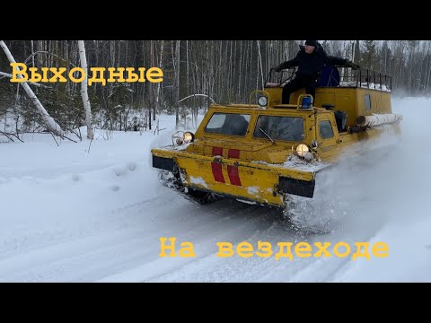 Видео: На гусеничном вездеходе по сибирской тайге