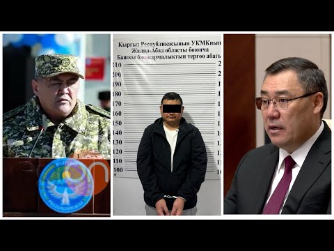 Видео: ДОДИК ТУРКИЯДАН КАРМАЛДЫ