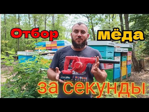 Видео: Пожалуй , самый быстрый отбор медовых корпусов!