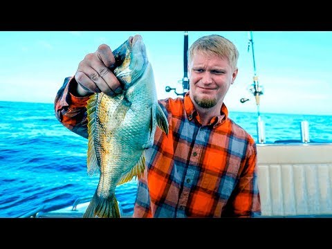 Видео: НА РЫБАЛКУ!!11 Вытаскиваем глубоководные вкусняшки!