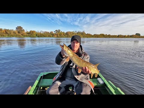 Видео: Рыбалка на Западной Двине на спиннинг!Daugava.