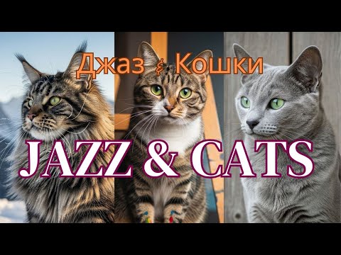 Видео: Cat Jazz: Relaxing Jazz & Cute Kittens for Focus & Chill/Кото-Джаз: Расслабляющий джаз и кошки.
