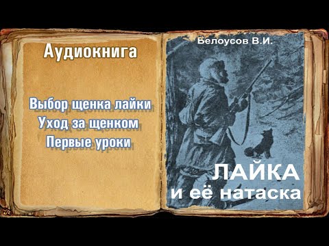 Видео: "Выбор щенка. Уход за щенком. Первые уроки" "Лайка и её натаска" Белоусов В.И