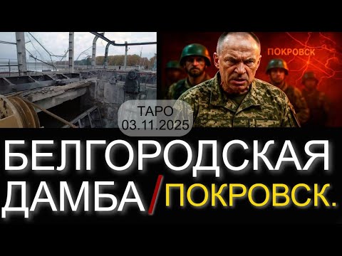 Видео: БЕЛГОРОДСКАЯ ДАМБА / ПОКРОВСК. (ТАРО. 03.11.2025)