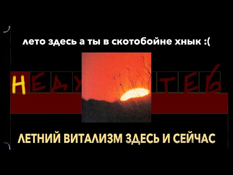 Видео: Как Не Проглядеть Лето / Контролируемая Симуляция Жизни/ ( Летний Выпуск )