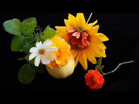 Видео: Лечебная музыка Моцарта 🌺 Энергия Для Души. Защита и Восстановление Организма.