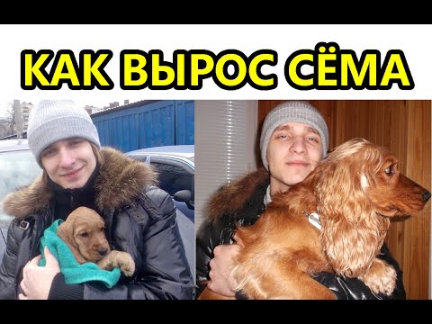 Видео: Как Сёма был щенком: от 2 месяцев до 9 лет