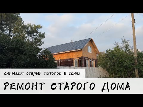 Видео: РЕМОНТ СТАРОГО ДОМА | Снимаем старый потолок в сенях | спасаем птицу | Работаем вечерами