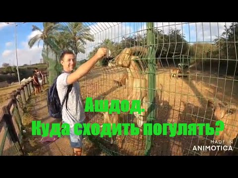 Видео: Израиль. Ашдод. Куда сходить погулять. Парк Лахиш.