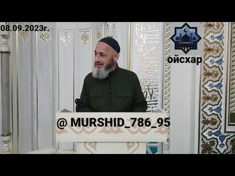 Видео: ИСА ХЬАЖА ОЙСХАР! АБУ-ХУРАЙРЕХ ЛАЬЦ ХАЗ ХЬЕХАМ! 08.09.23г
