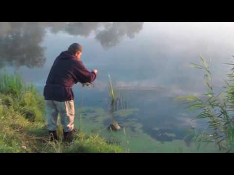 Видео: Утро.  Рыбалка.  Виталию очень бы захотеть стать настоящим человеком.  08.  08. 2018