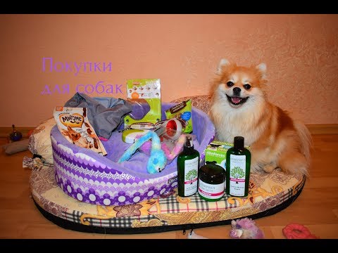 Видео: ПОКУПКИ ИЗ ЗООМАГАЗИНА СОБАКАМ