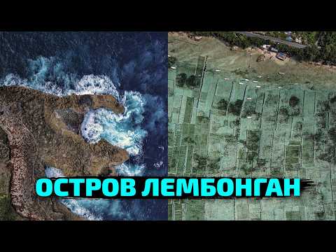 Видео: Секреты райского острова: водоросли за миллионы, свадьба с супом из свиной головы, секретные пляжи.