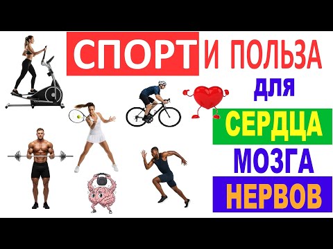 Видео: СПОРТ и его ПОЛЬЗА для сердца, мозга и нервной системы. Влияние тренировок по науке. #спорт #польза