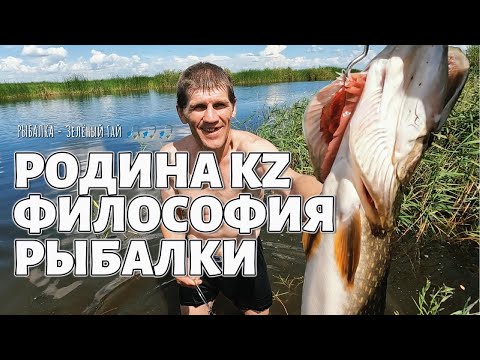 Видео: РОДИНА KZ - ФИЛОСОФИЯ РЫБАЛКИ #РЫБАЛКА - Зелёный Гай 🎣