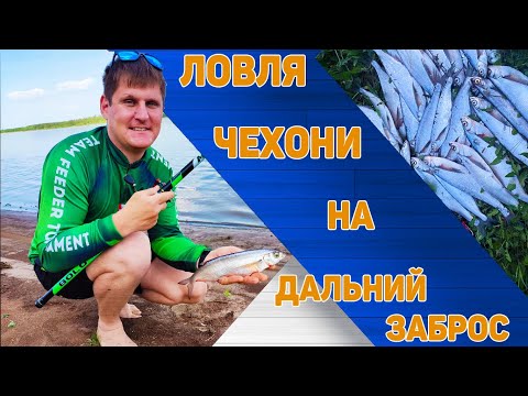 Видео: Ловля чехони на дальний заброс на реке Кама. Рыбалка на чехонь на поплавок.