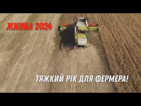 Видео: Тяжкий рік! Молотимо пшеничку Катрусю Комбайном CLAAS Tucan 580