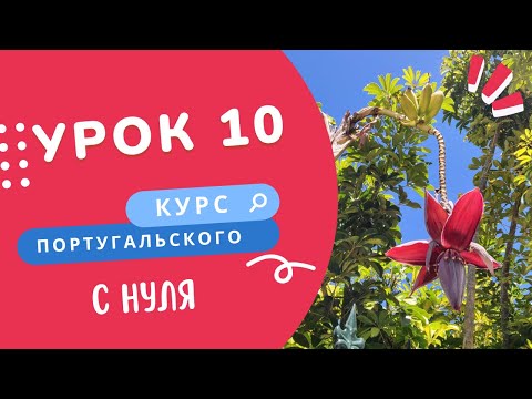 Видео: Курс португальского. Урок 10: poder, querer, costumar, este