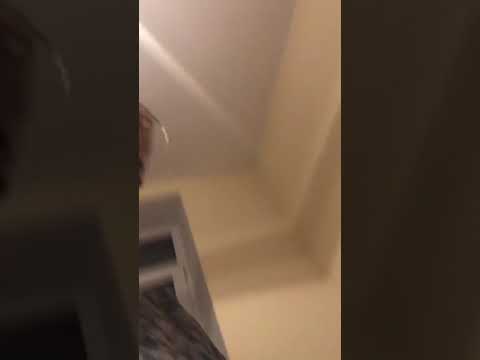 Видео: Дом2 Маша Кохно прямой эфир 24 11 2019