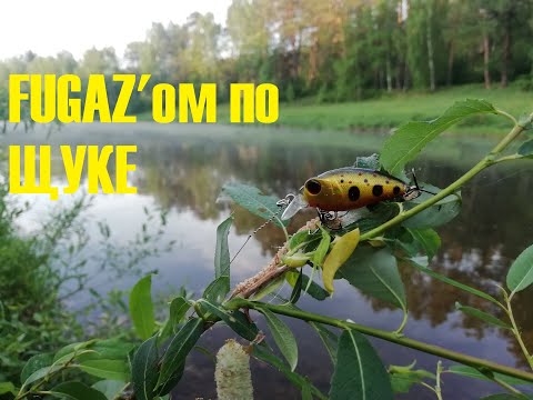 Видео: FUGAZ'ом по щуке. Крэнками по голавлю. РЫБАЛКА на ЧУСОВОЙ.