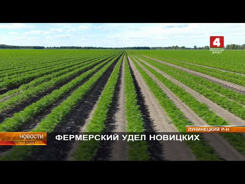 Видео: ФЕРМЕРСКИЙ УДЕЛ НОВИЦКИХ