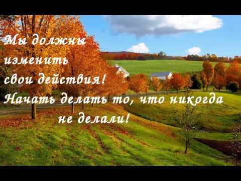Видео: С чего начать Природное земледелие! З первых шага!
