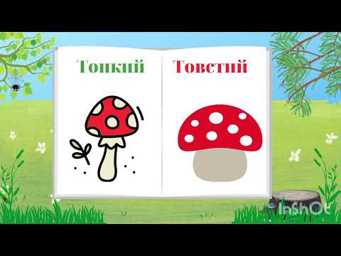 Видео: Порівняння предметів для дітей. Тонкий- товстий.