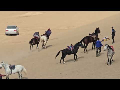 Видео: Бузкаши Н Чайхун Дехаи Хазорчашма 5 11 2025 кисми 2